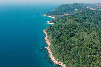 【录像解析】经典犯规事件与规则重新解读，犯规术语