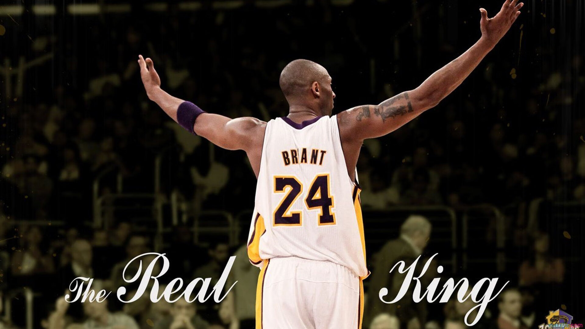 富勒姆困境难解，客场遭遇惨败！，富勒姆老板